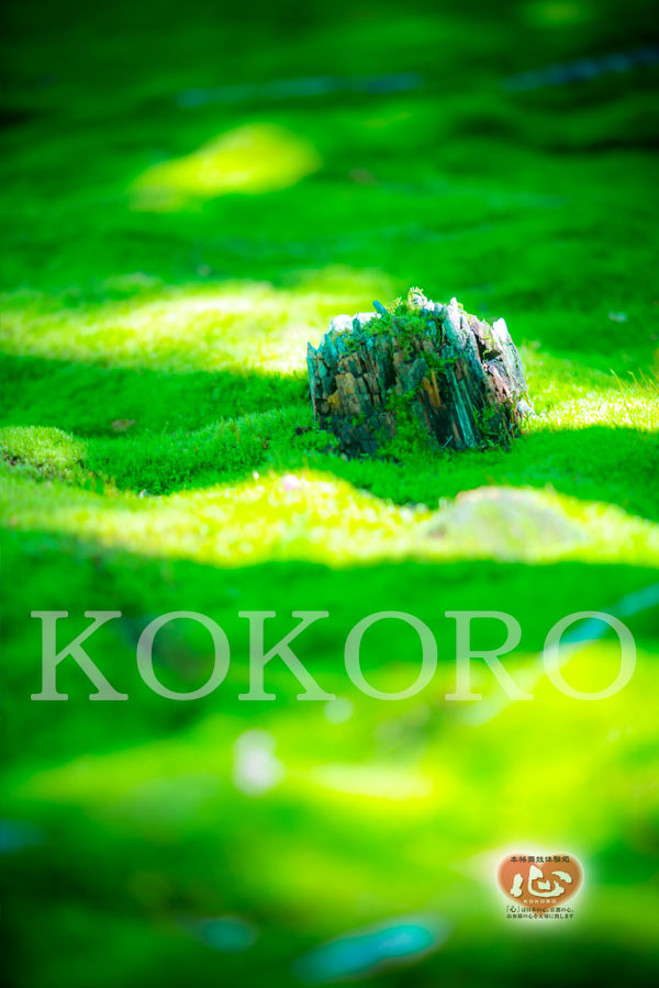 嵐山のｵｽｽﾒ観光ｽﾎﾟｯﾄ