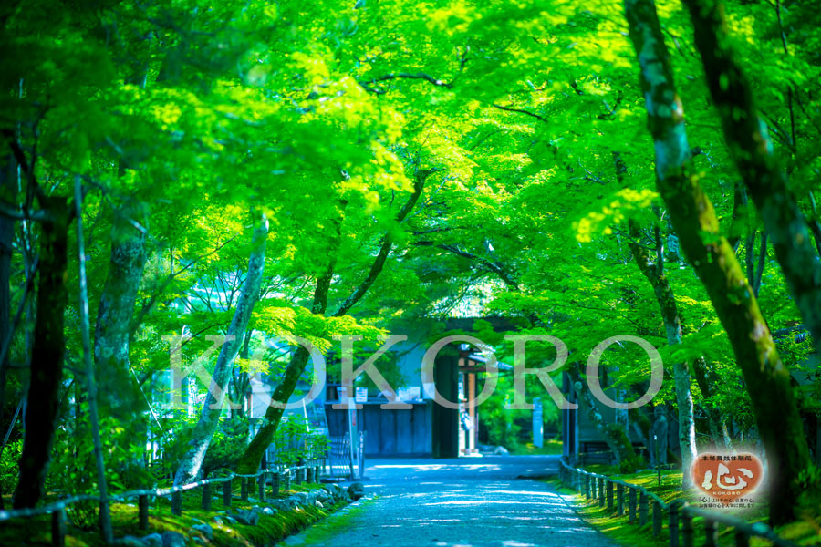 嵐山のｵｽｽﾒ観光ｽﾎﾟｯﾄ