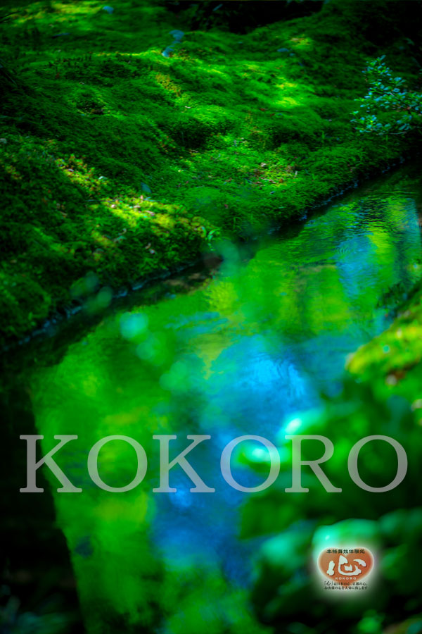 嵐山のｵｽｽﾒ観光ｽﾎﾟｯﾄ