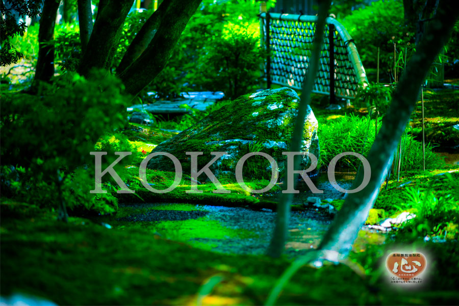 嵐山のｵｽｽﾒ観光ｽﾎﾟｯﾄ