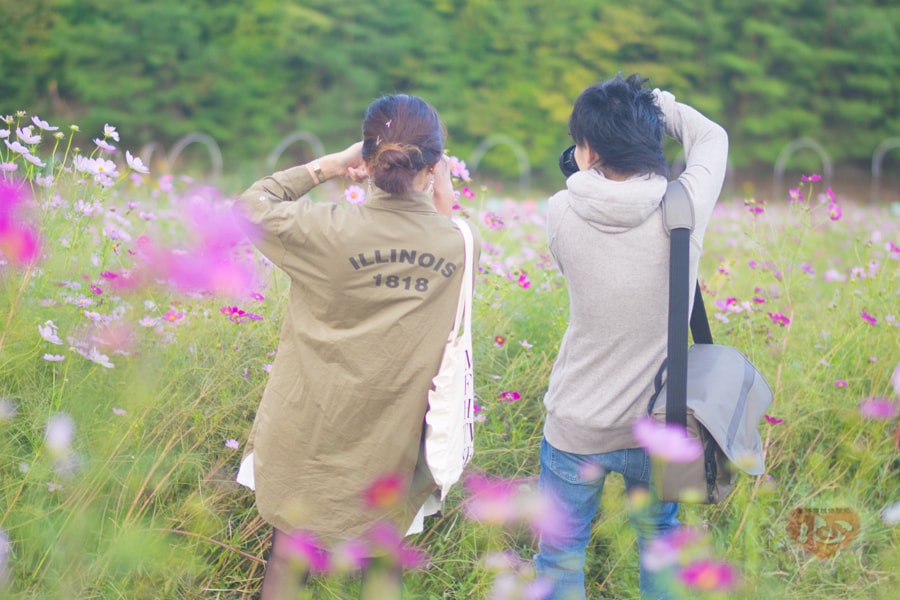 %e3%82%b3%e3%82%b9%e3%83%a2%e3%82%b9%ef%bc%94-min