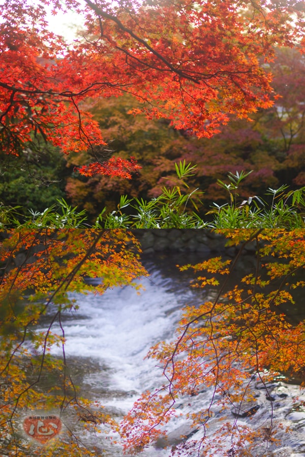 %e6%af%94%e5%8f%a1%e5%b1%b1%ef%bc%99-min