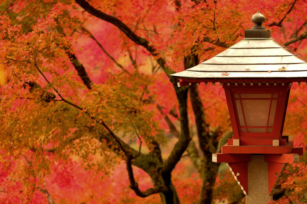 %e7%81%af%e7%b1%a0%e3%82%a2%e3%83%83%e3%83%97