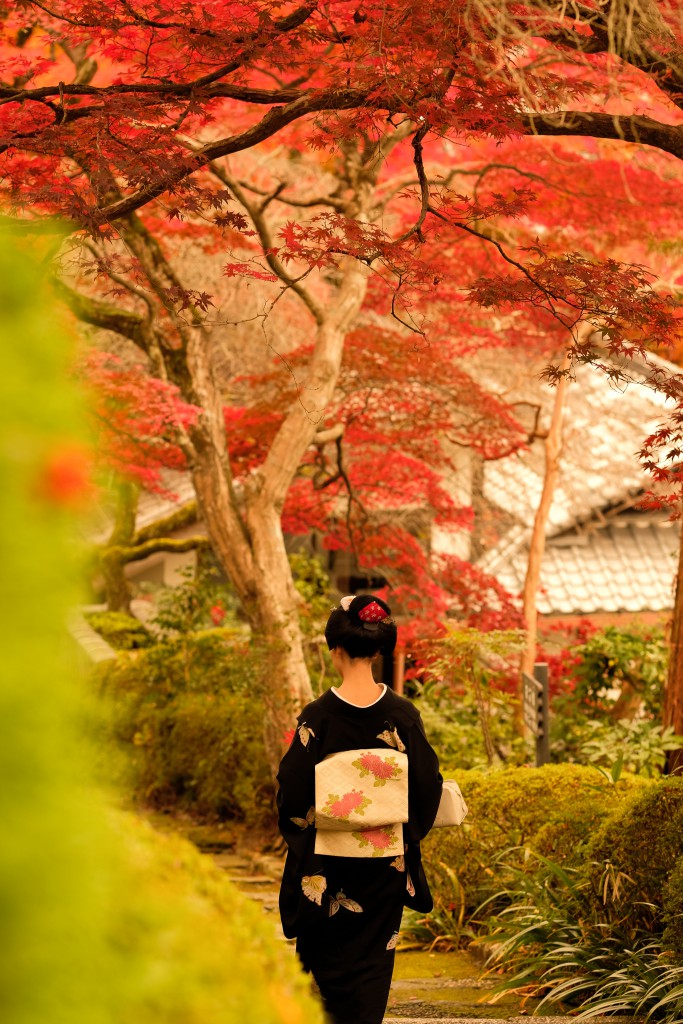 %e5%96%84%e5%b3%b0%e8%88%9e%e5%a6%93%e3%81%a1%e3%82%83%e3%82%93