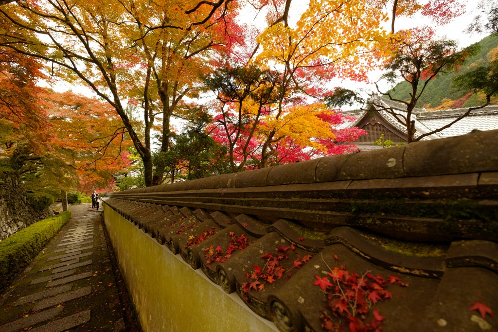 %e5%96%84%e5%b3%b0%e7%b8%a6%ef%bc%93