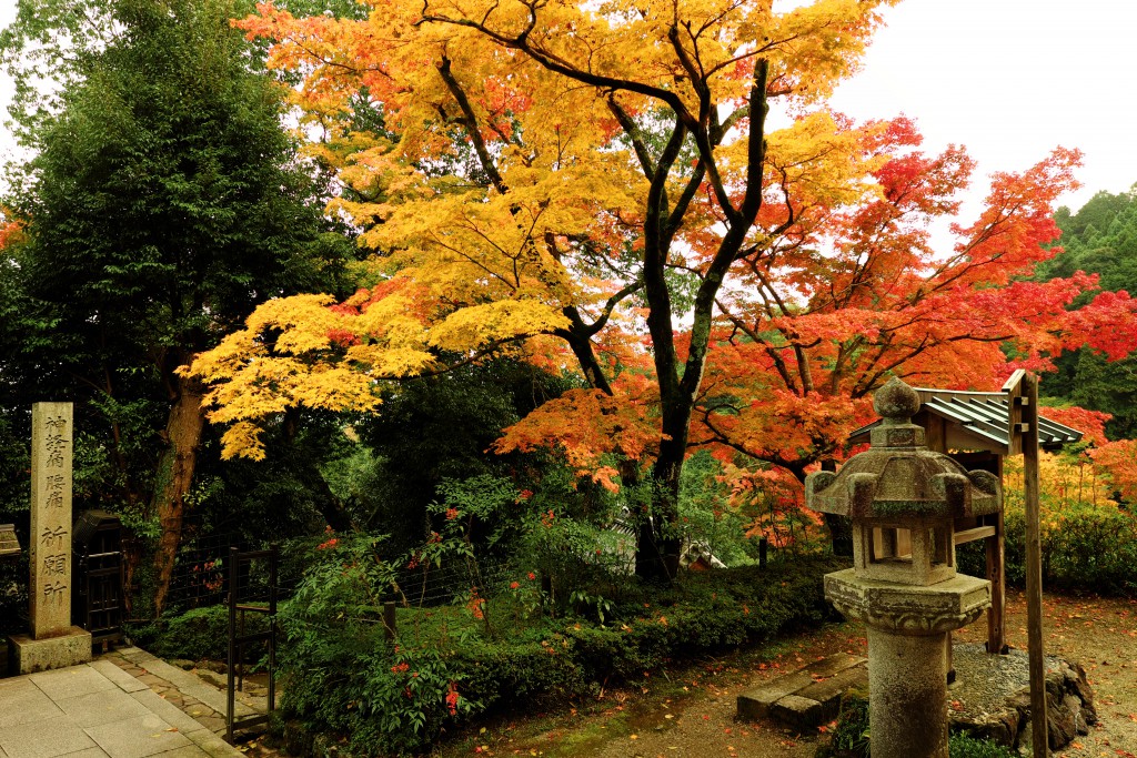 %e5%b1%b1%e9%96%80%e4%bb%98%e8%bf%91%ef%bc%91