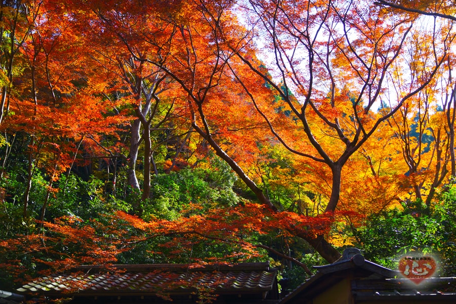 %e6%af%94%e5%8f%a1%e5%b1%b1%ef%bc%93-min