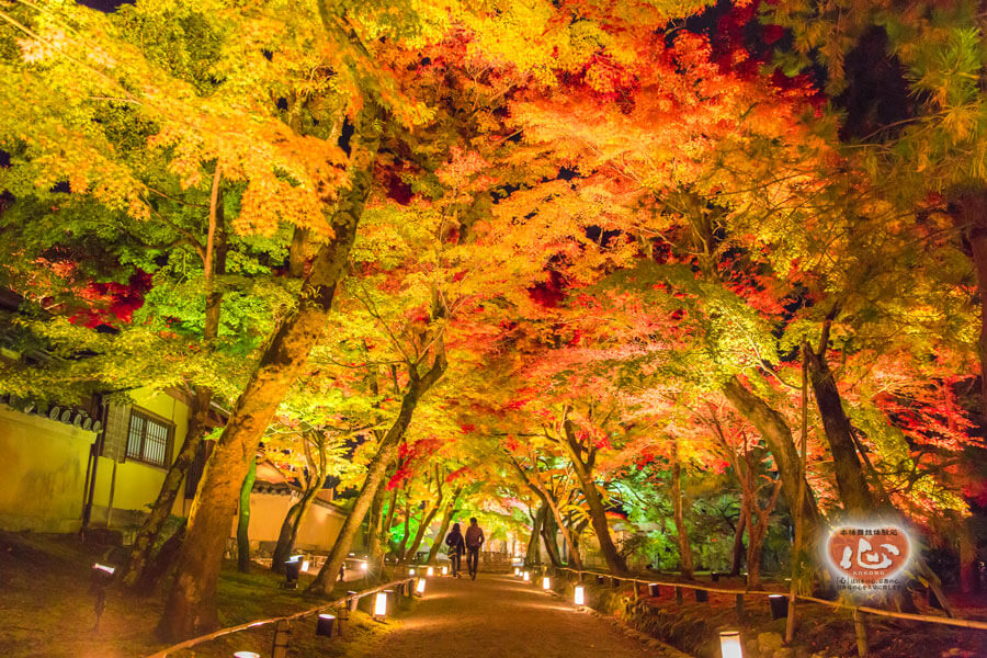 嵐山・宝厳院の紅葉写真「舞妓・花魁体験心」