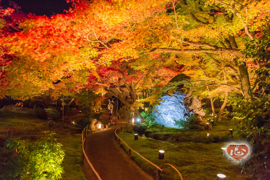 嵐山・宝厳院の紅葉写真「舞妓・花魁体験心」