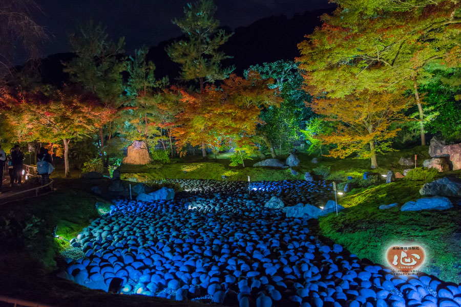 嵐山・宝厳院の紅葉写真「舞妓・花魁体験心」