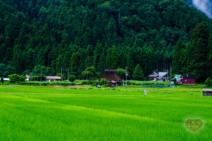 %e3%81%8b%e3%82%84%e3%81%b6%e3%81%8d%ef%bc%91-min