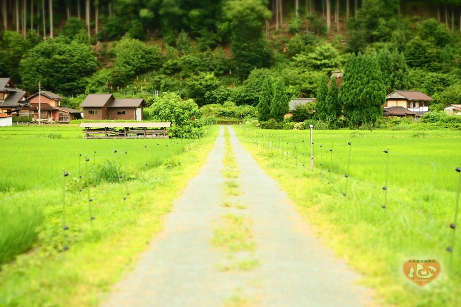 %e3%81%8b%e3%82%84%e3%81%b6%e3%81%8d%ef%bc%91%ef%bc%90-min