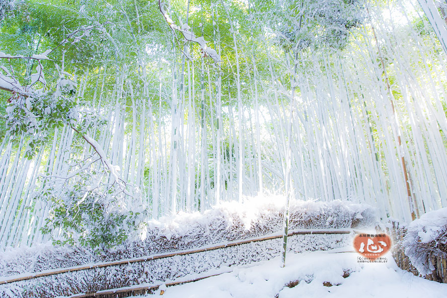 嵐山の雪景色・竹林