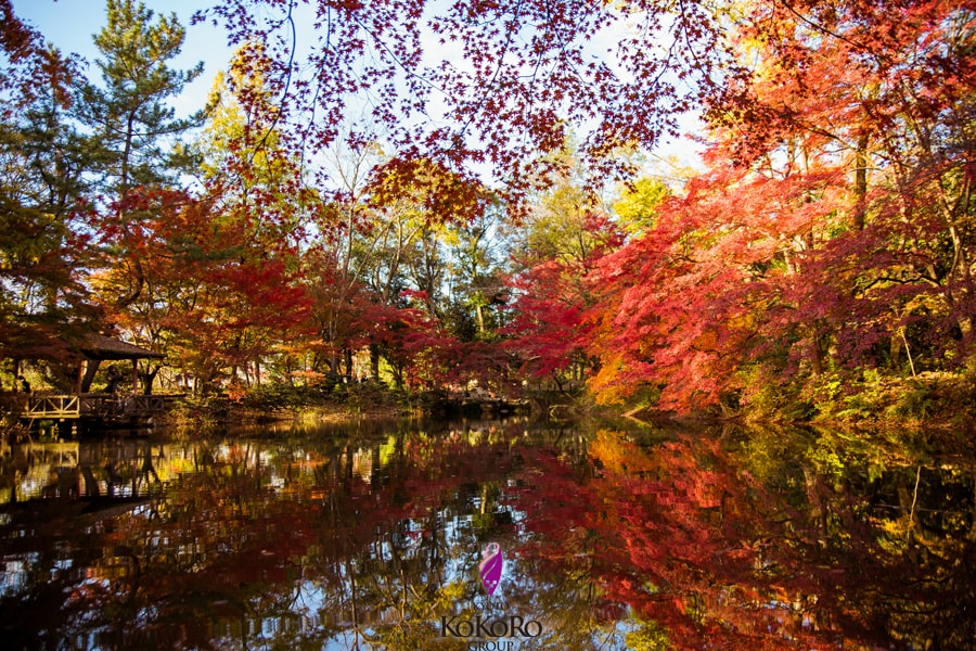 １１着物クラブ-min