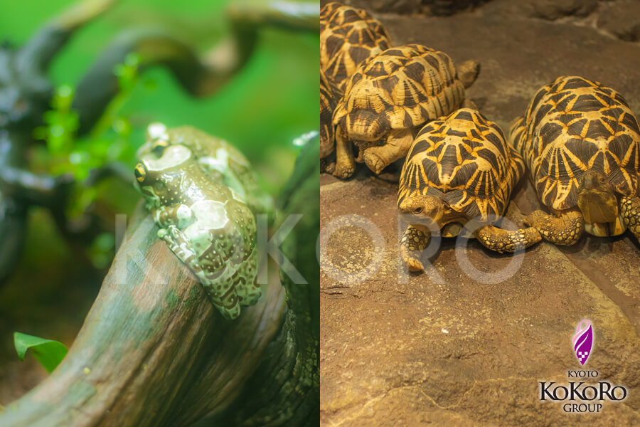 池袋サンシャイン