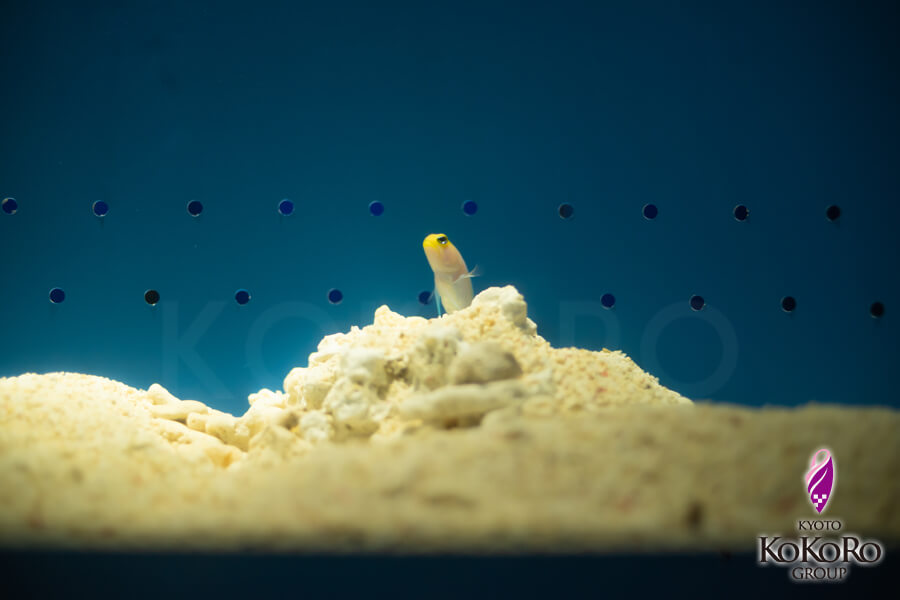 池袋サンシャイン