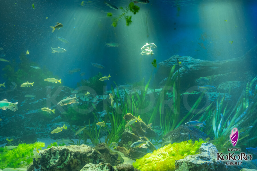 池袋サンシャインシティ