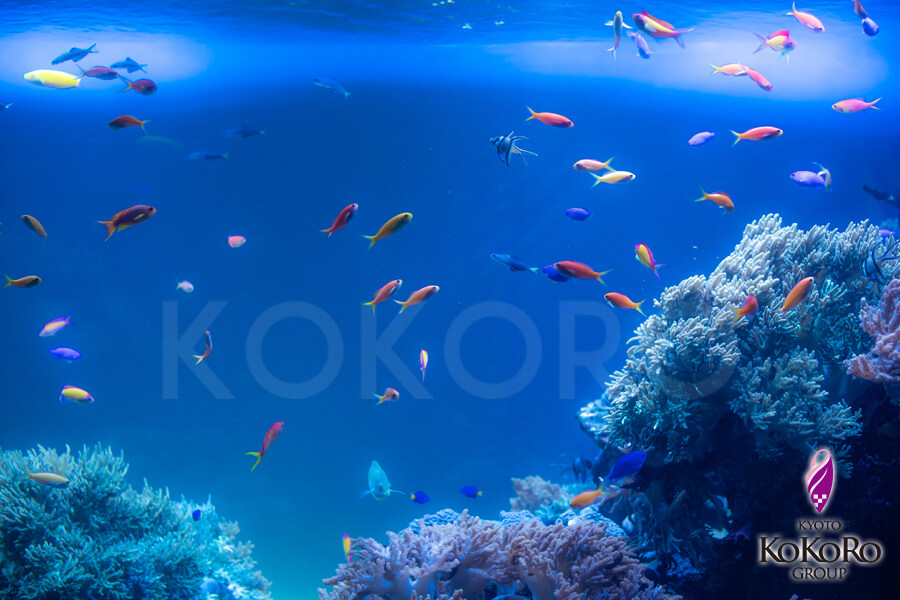 池袋サンシャイン