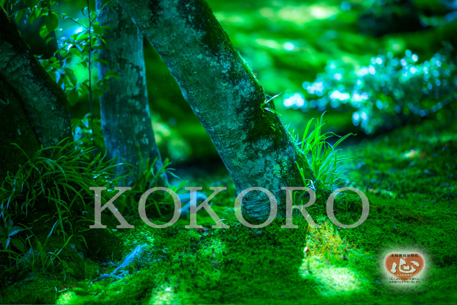 嵐山のｵｽｽﾒ観光ｽﾎﾟｯﾄ