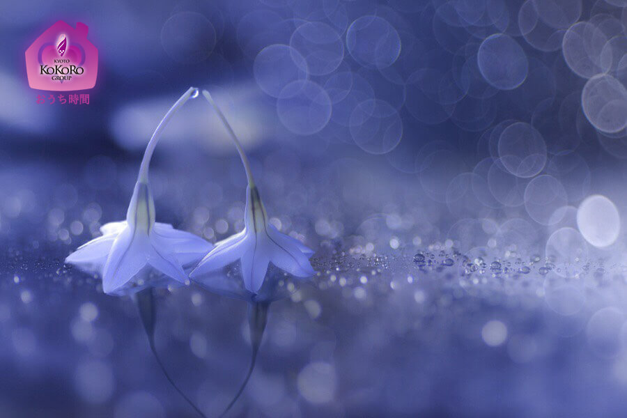 ココログループ おうちじかん