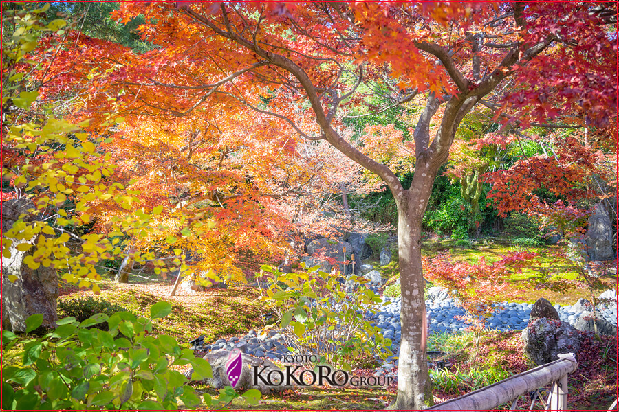 嵐山の紅葉