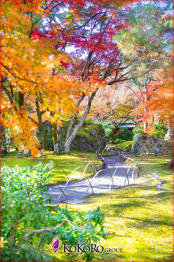 嵐山の紅葉