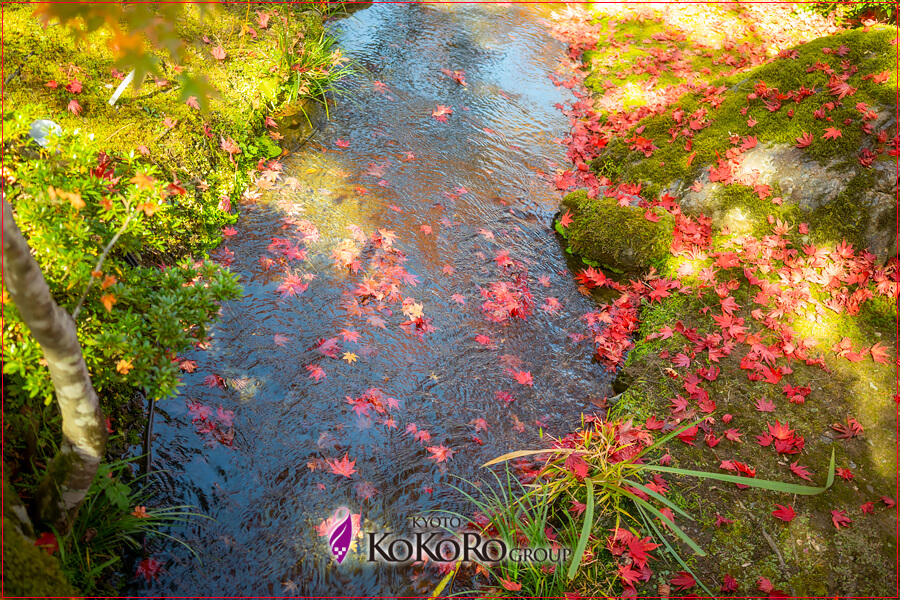 嵐山の紅葉