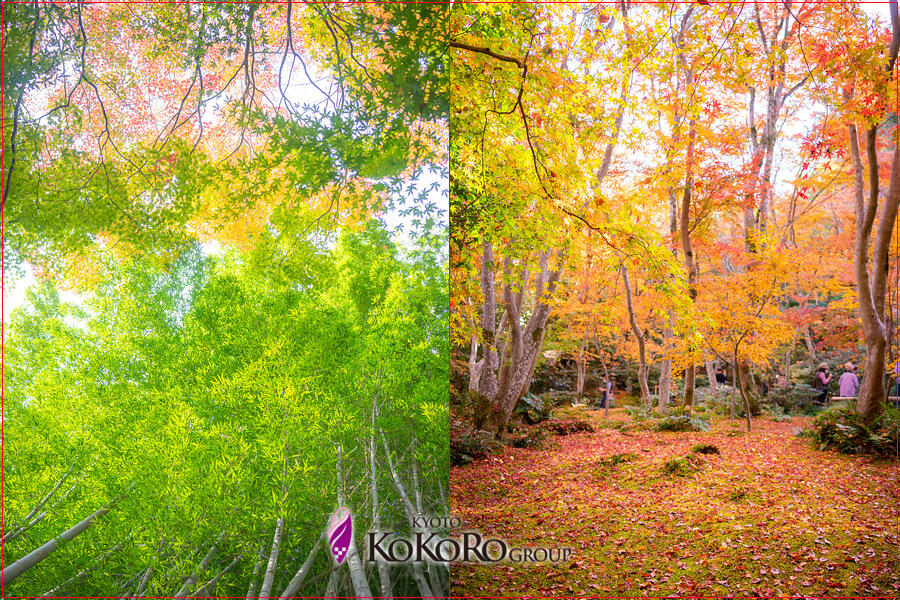 嵐山の紅葉