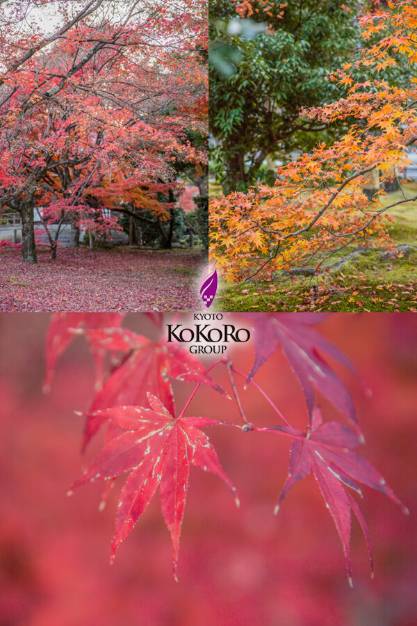 嵐山　五台山 清凉寺