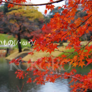 スタッフブログ