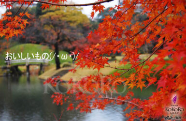 スタッフブログ