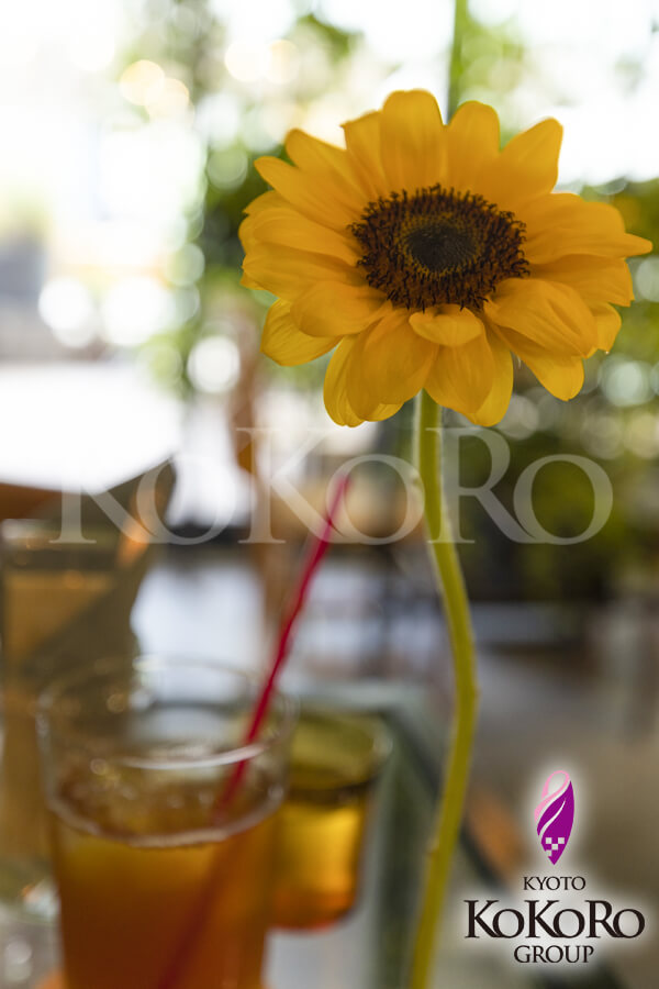 青山フラワーマーケット