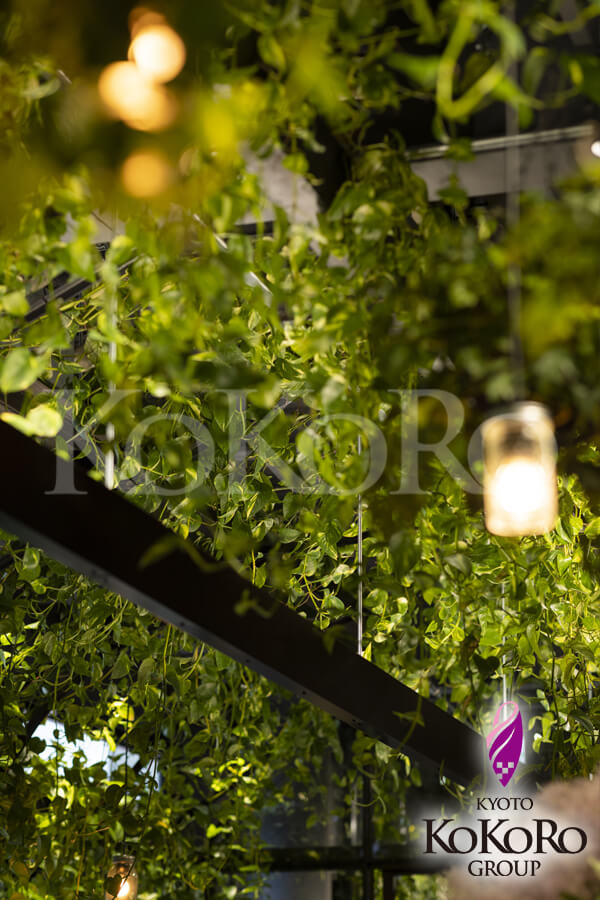 青山フラワーマーケット