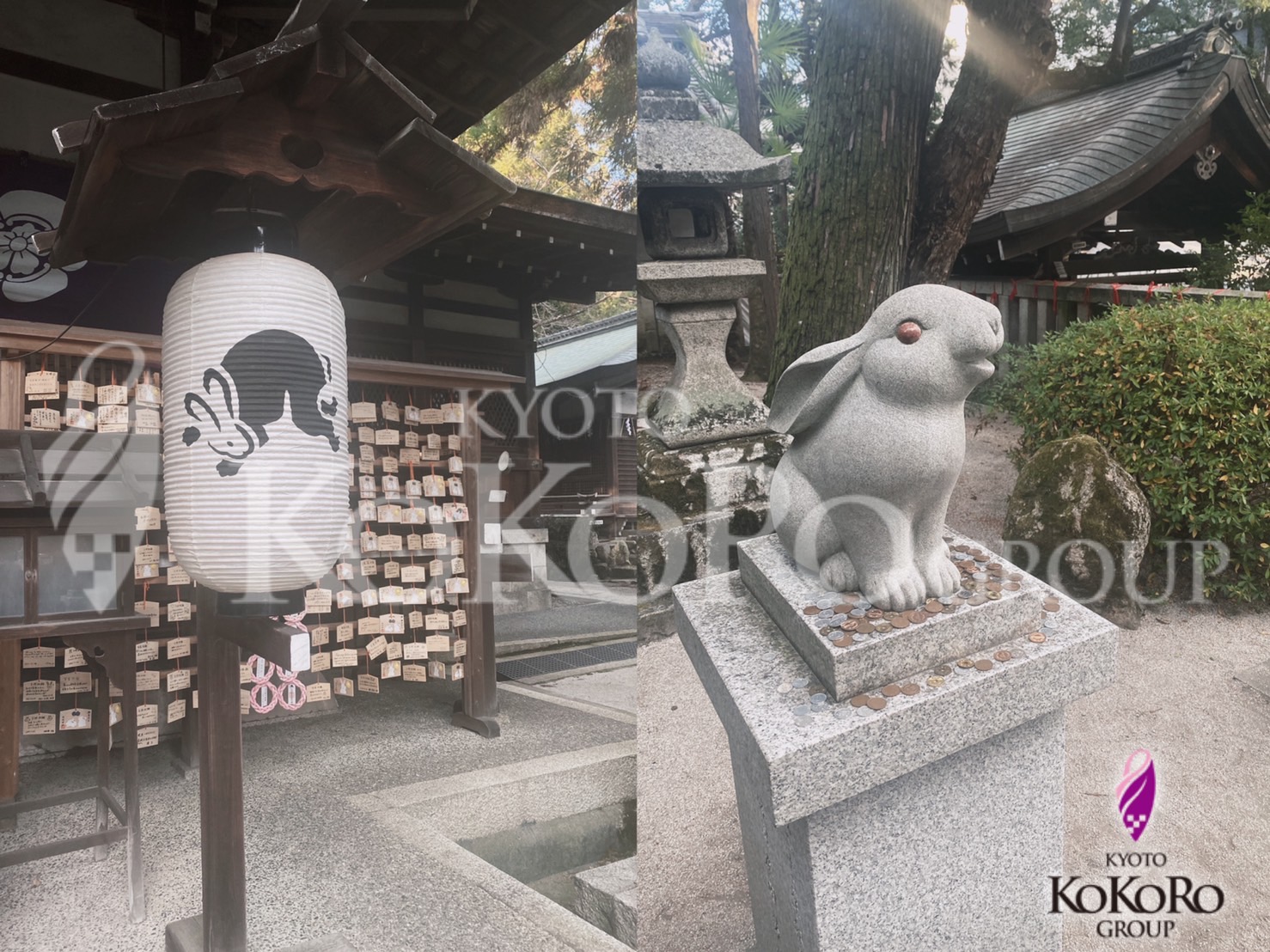 むかいやまぶろぐ