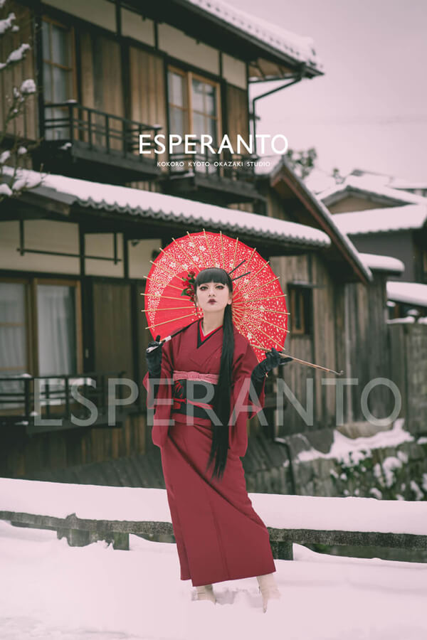 ジャポニスム　雪