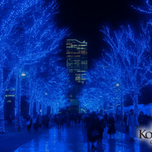 イルミネーション