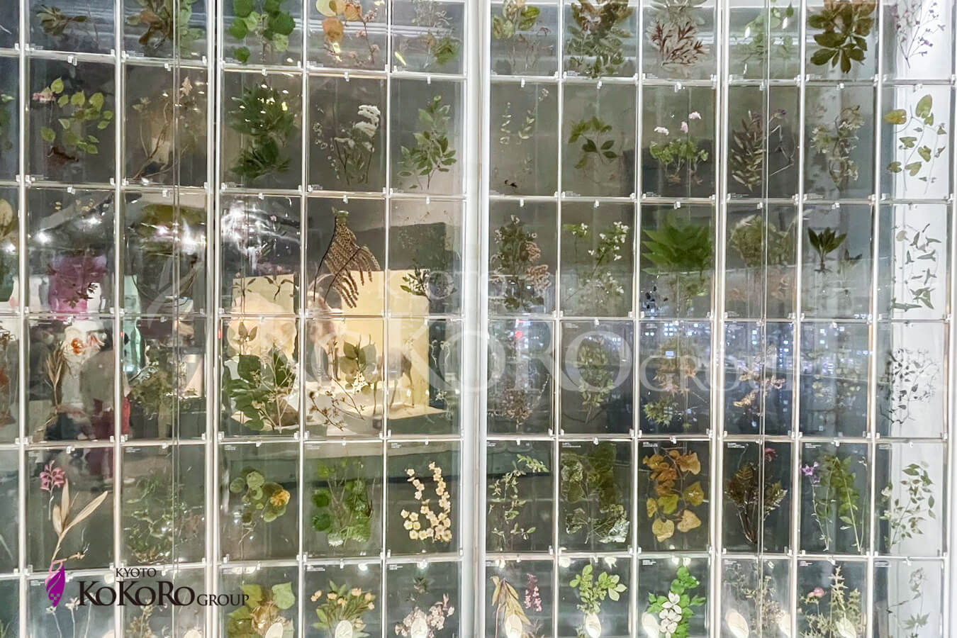 国立科学博物館