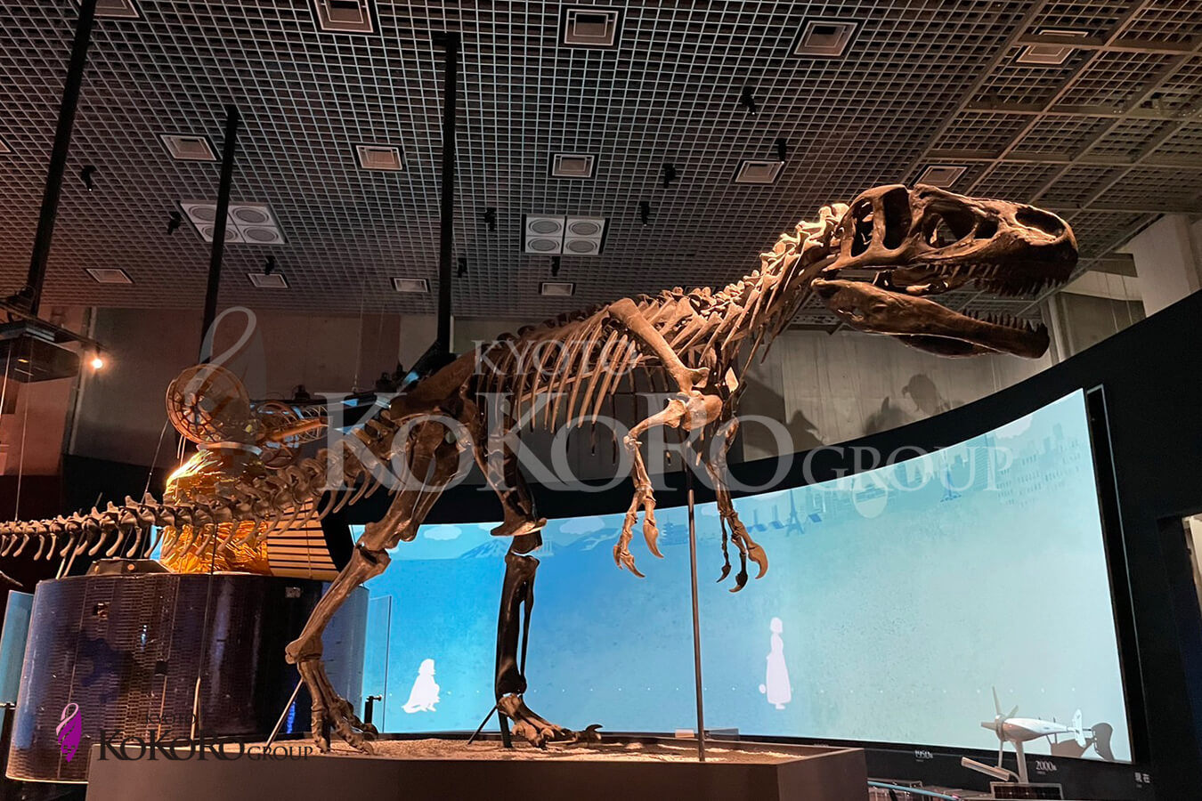 国立科学博物館