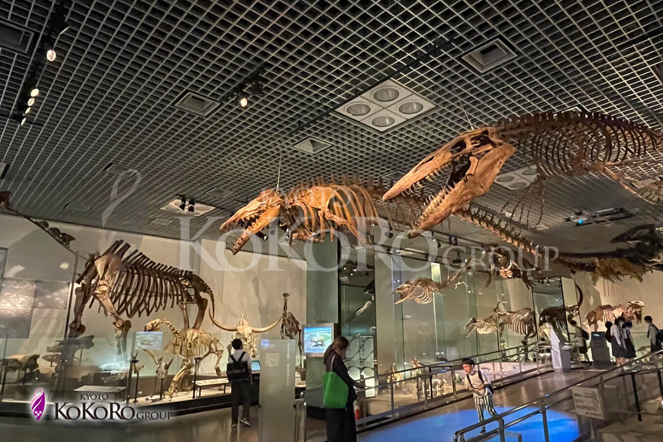 国立科学博物館