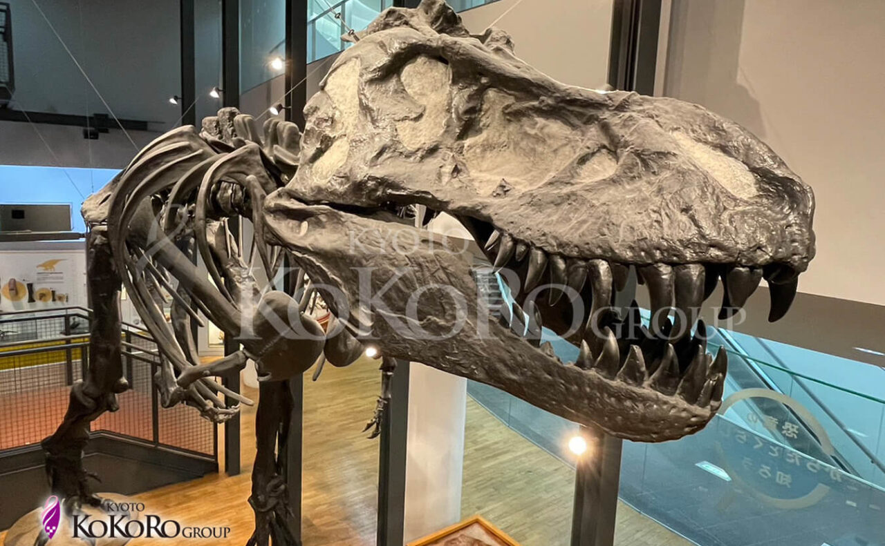 福井県立恐竜博物館