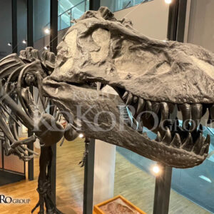 福井県立恐竜博物館