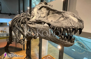 福井県立恐竜博物館