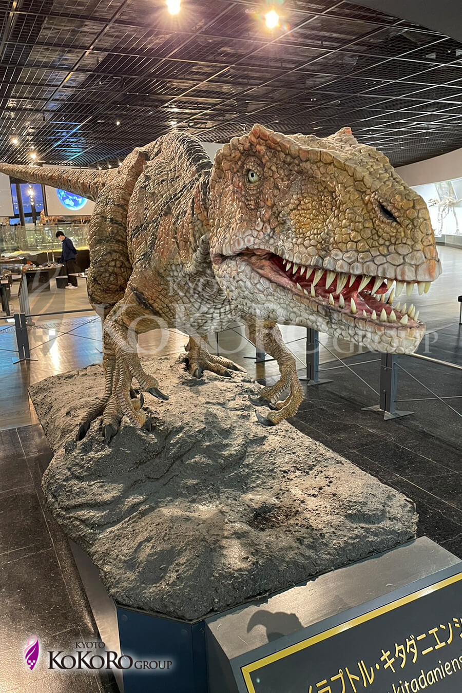 福井県立恐竜博物館