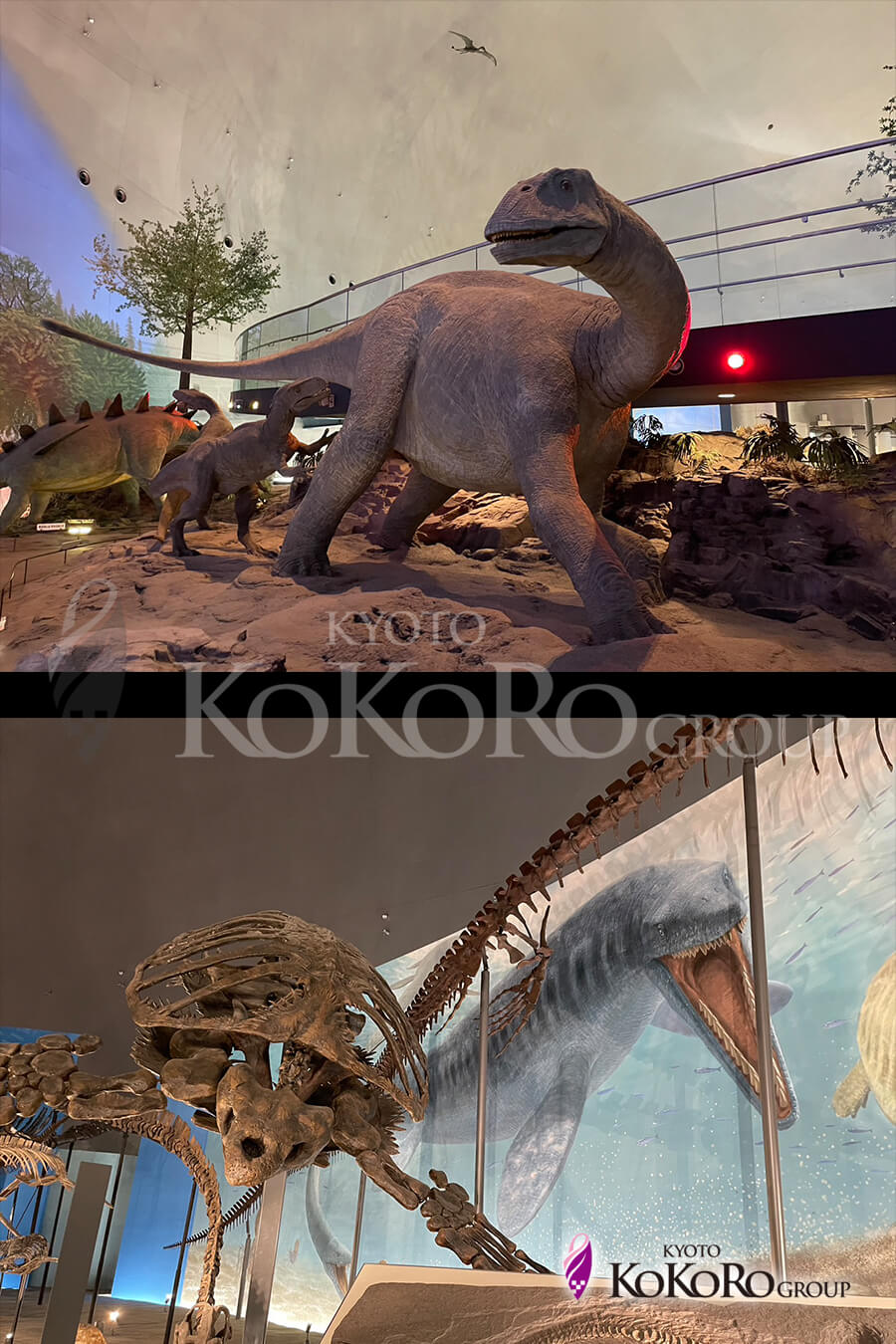 福井県立恐竜博物館