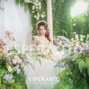 ドレス ソロウェディング