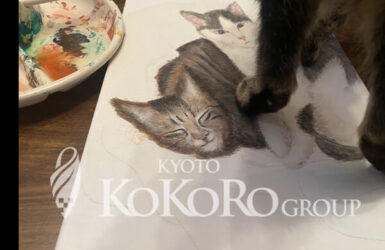 ねこにっき