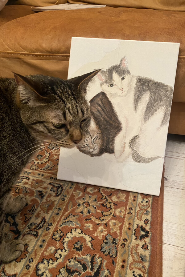 ねこにっき