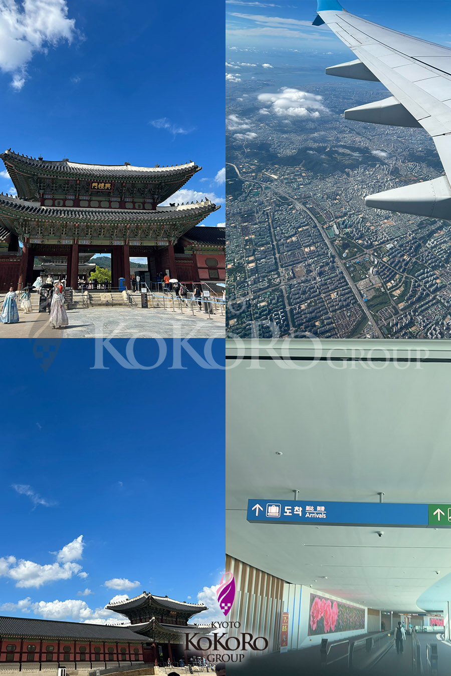 韓国研修